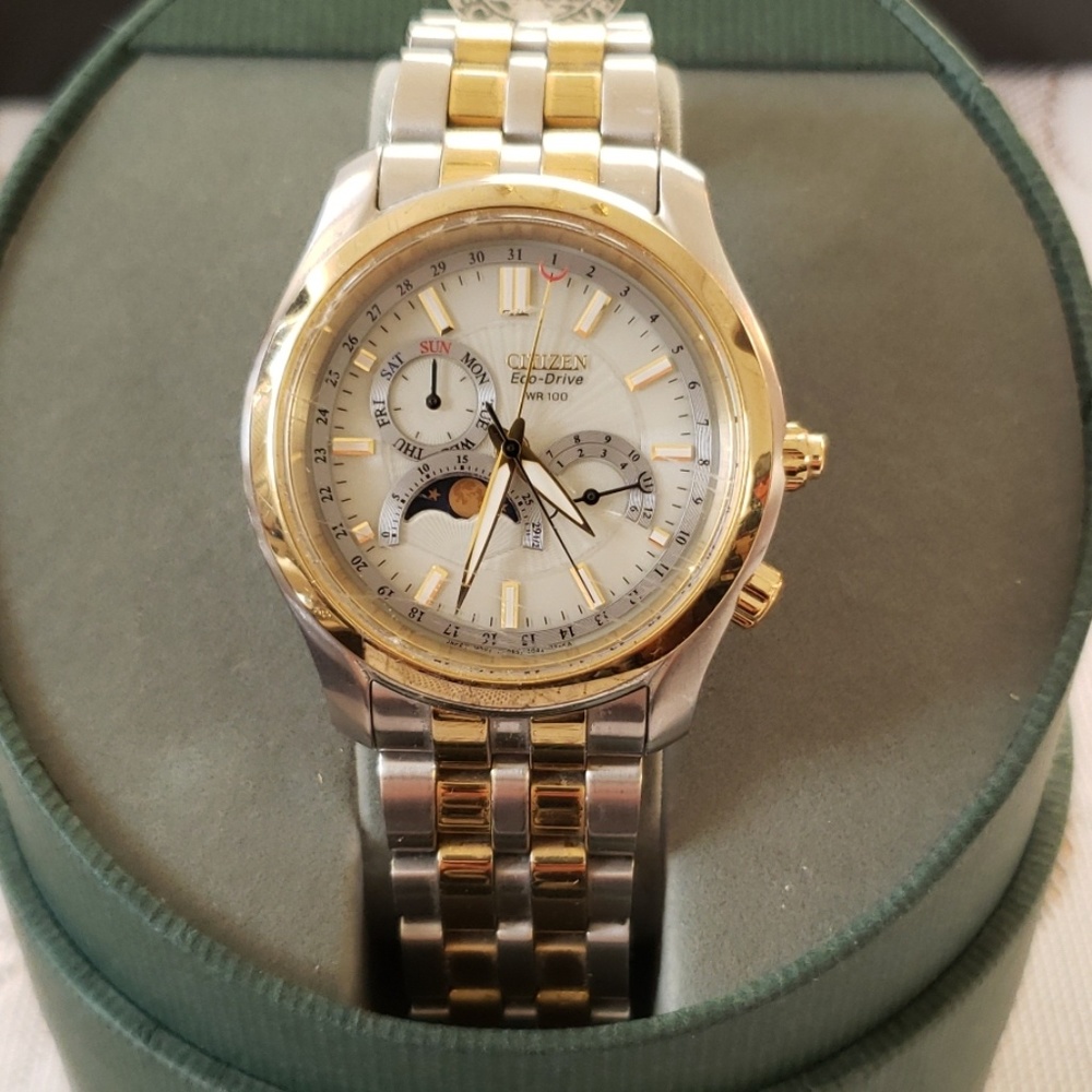 Citizen Eco-Drive WR 100 Watch